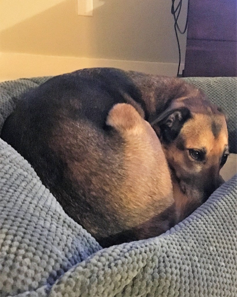 20180226_025223663_iOS