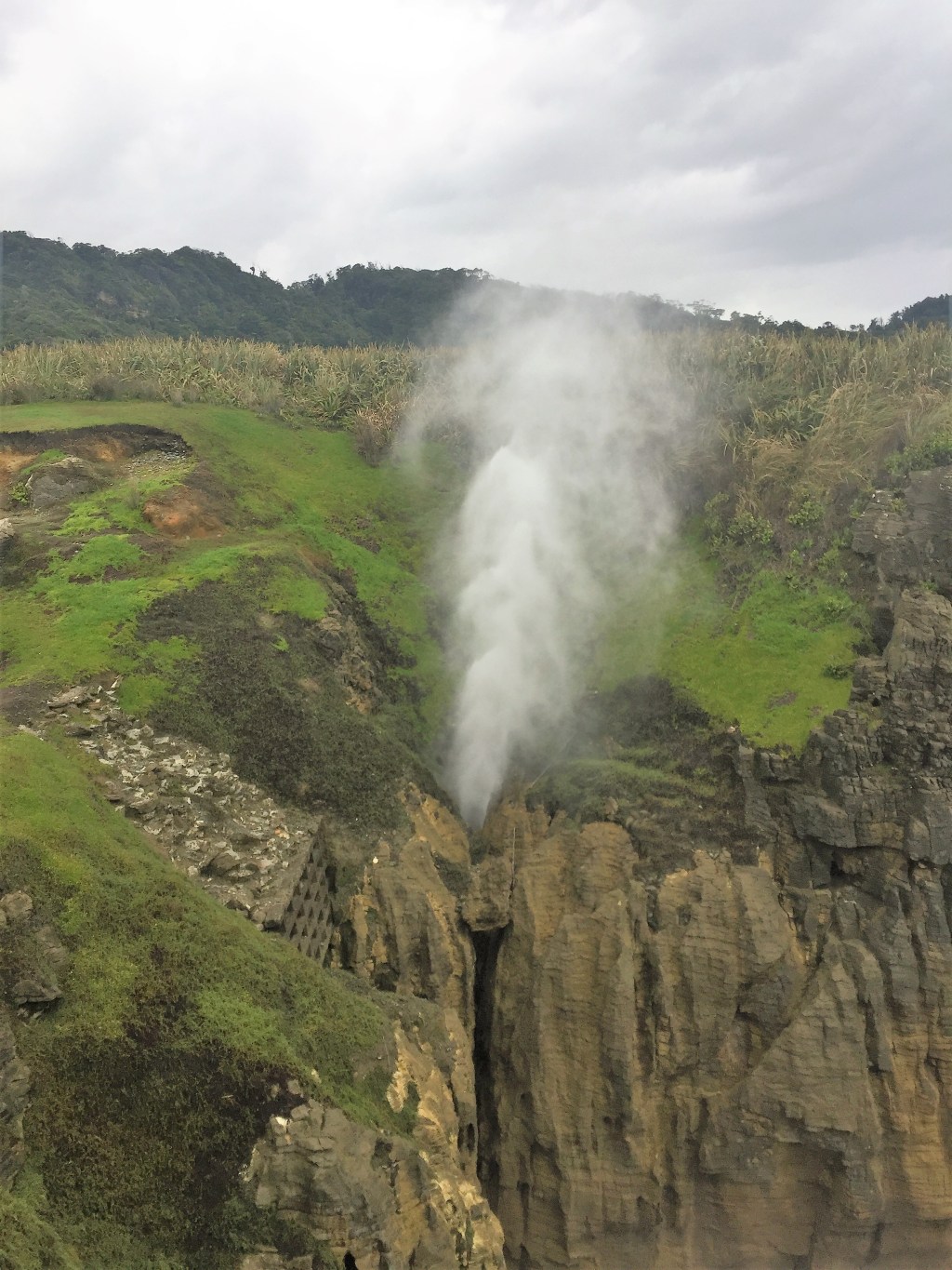 Day 7: Pancakes and&nbsp;Blowholes