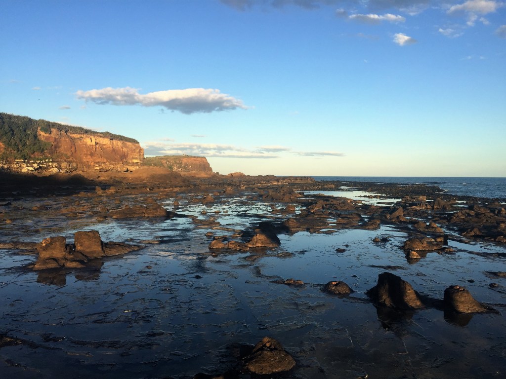 Day 14: A Watched Penguin Never&nbsp;Boils