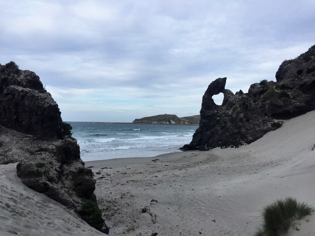 Day 16: EDster Sunday&nbsp;DunEDin