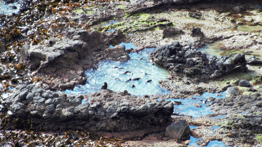 Day 17: Kiss From a&nbsp;Rose