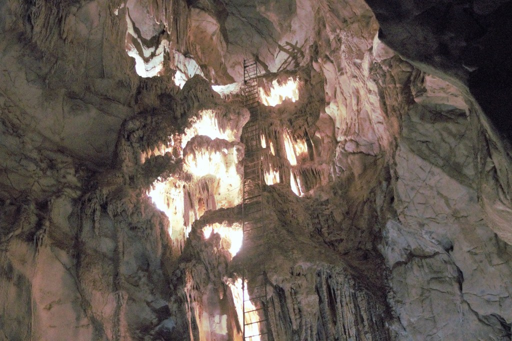 Day 29: Second Hand&nbsp;Toilets