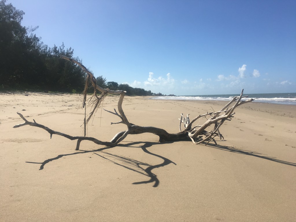 Day 35: It Won’t Give You a Bad Day,&nbsp;eh?