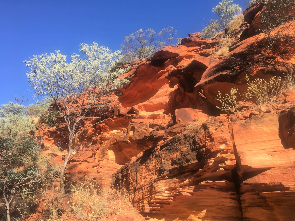 Day 39: Stay Alert, Stay&nbsp;Alive