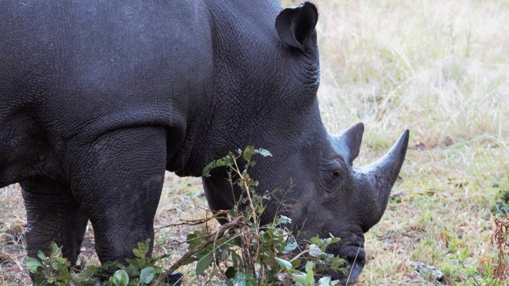 Day 59: “too much water will make you rusty!”