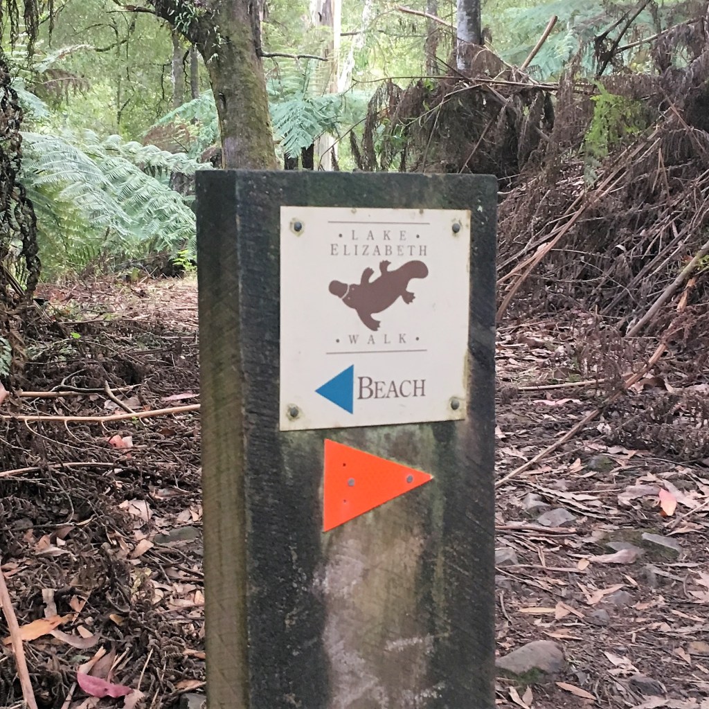 Day 45: The Wild&nbsp;Life