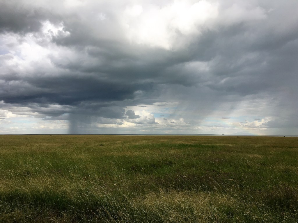 Day 67: Rains Down in&nbsp;Africa