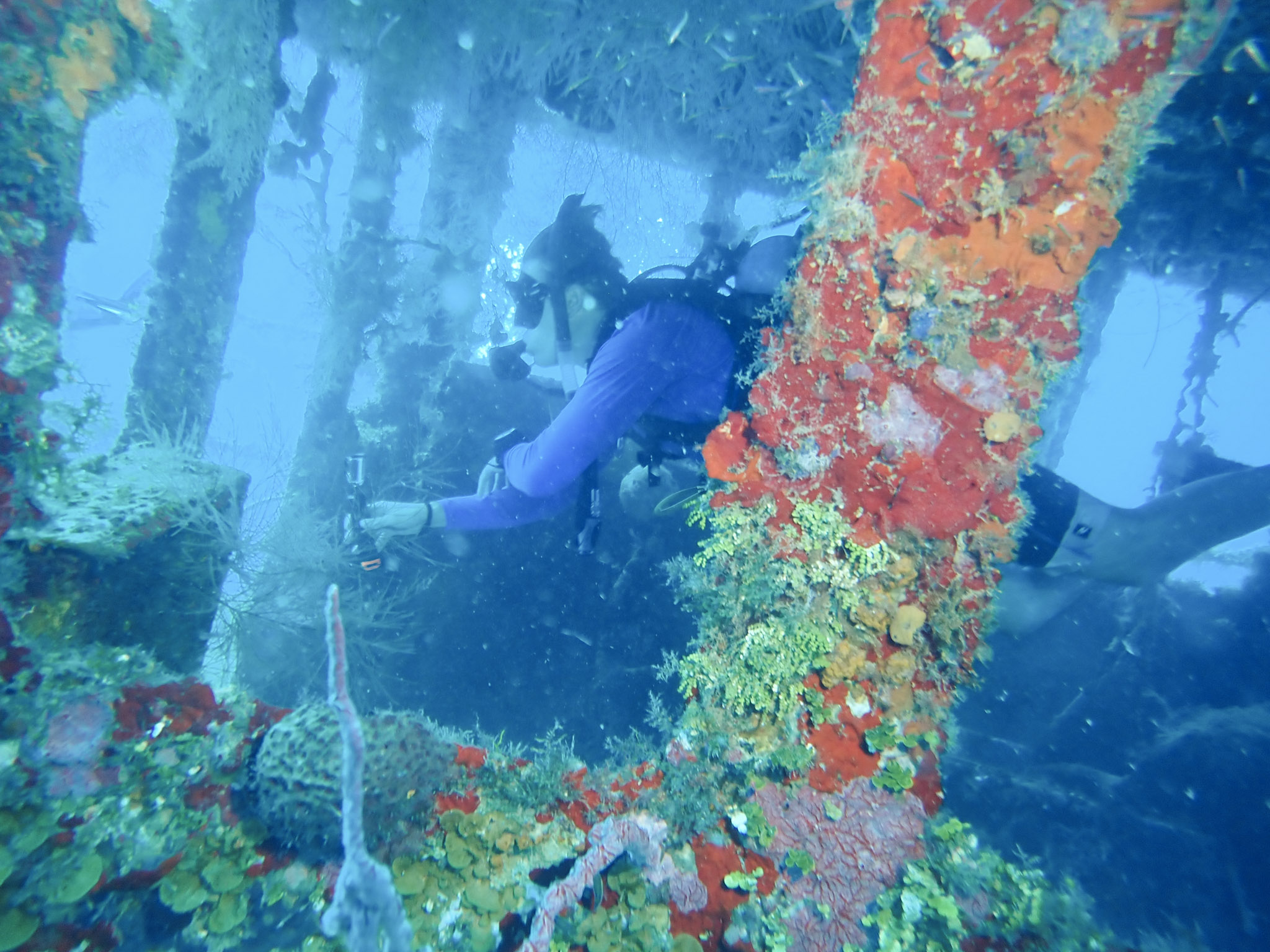 14dc3c342b8caa07baf3e797480c109f