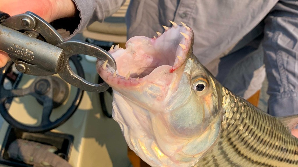 Good day fishing beats a bad day&nbsp;fishing