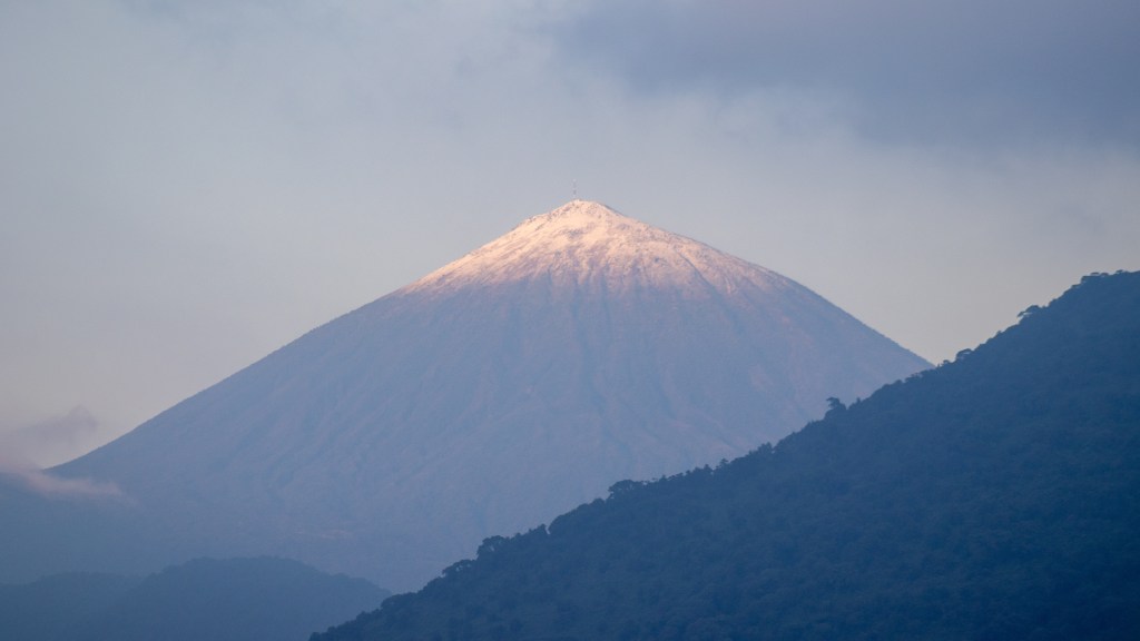 Authentic Gorilla Experience