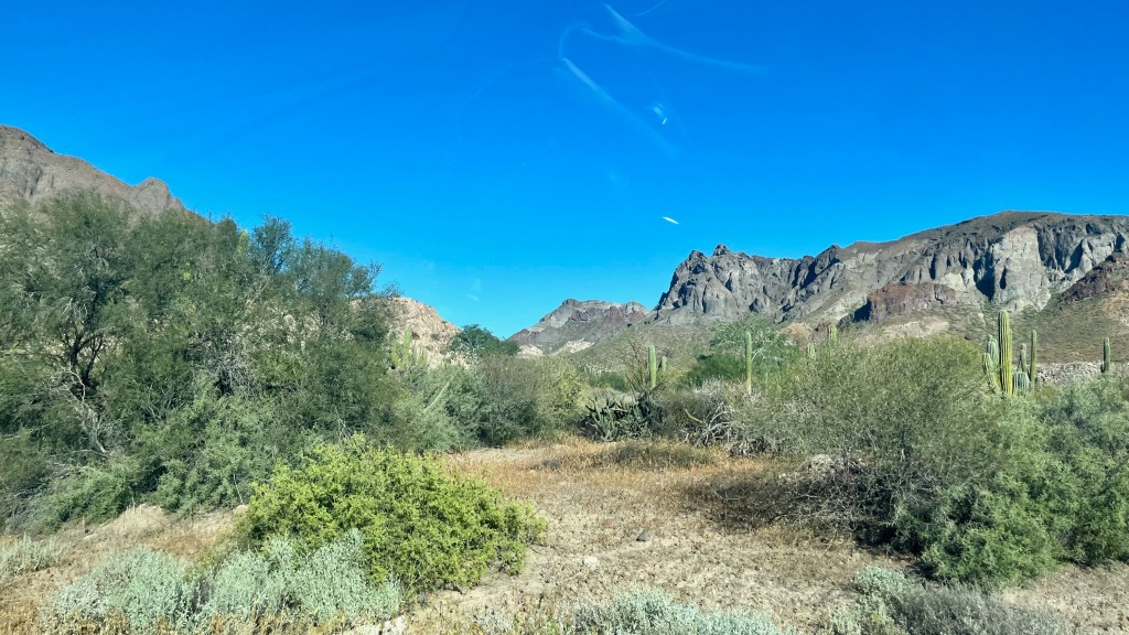 Zero Margaritas, Three Roadrunners