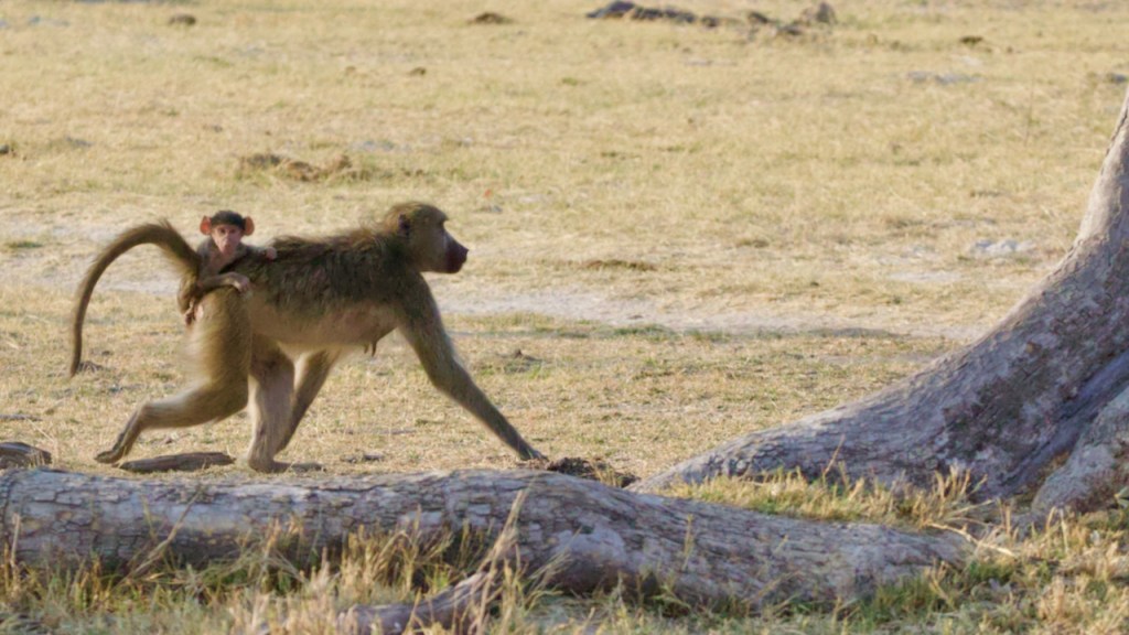 Time to go&nbsp;mobile